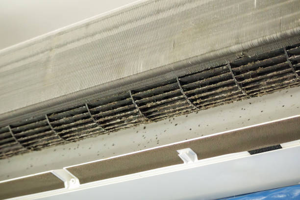 Air Duct Mold Removal in SD